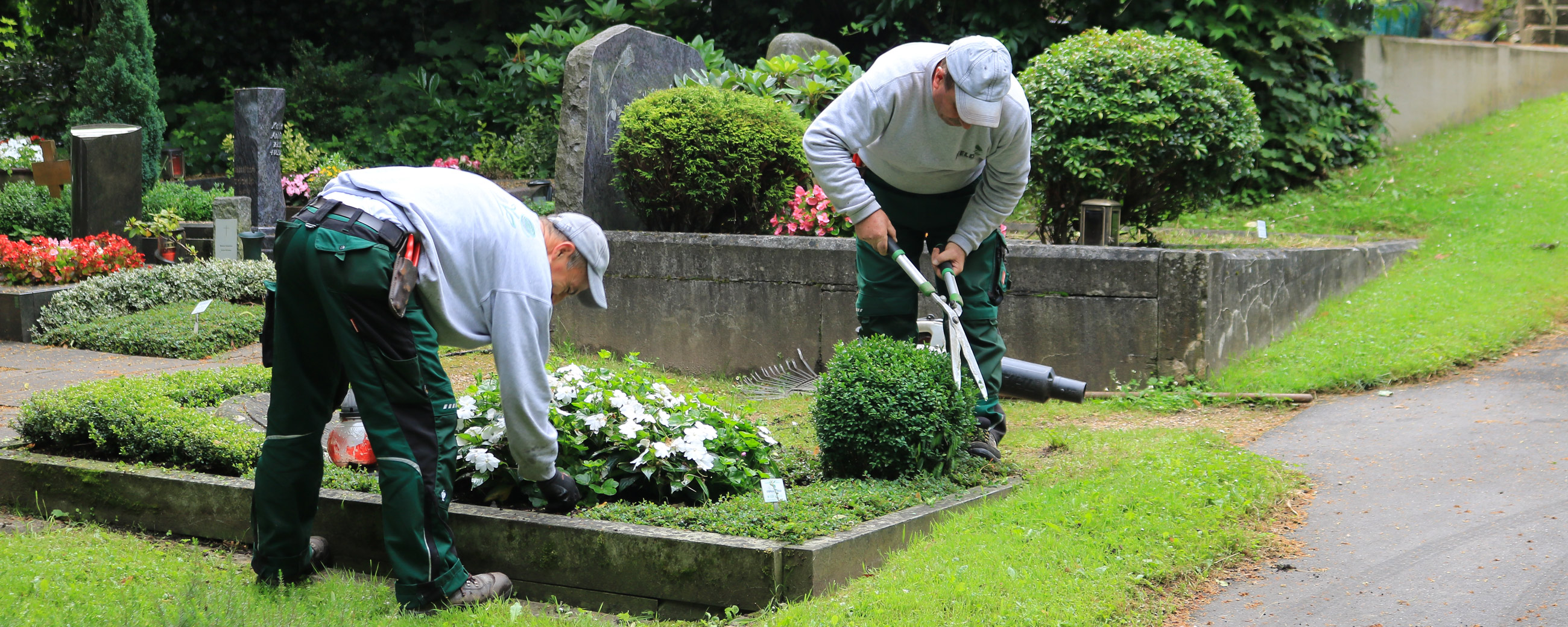 Gärtner säubern und beschneiden eine Grabbepflanzung