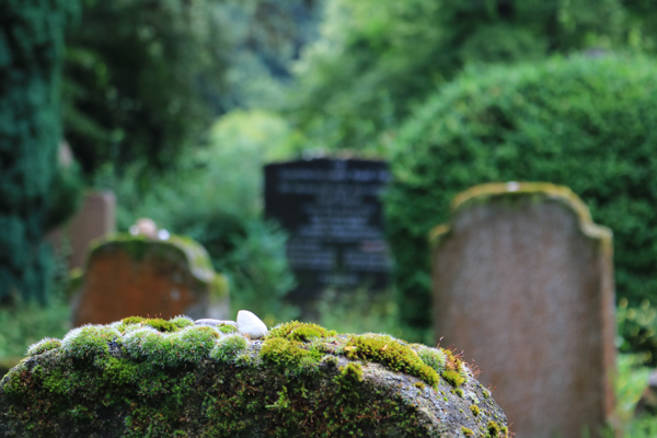 Symbolfoto Friedhof