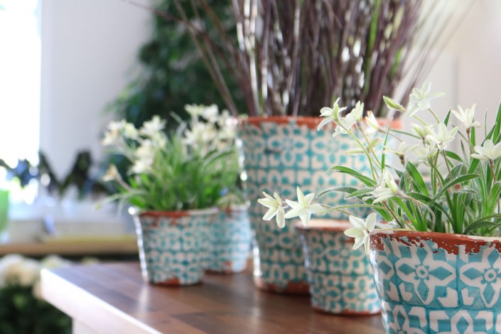 Keramiktöpfe in blau mit Pflanzen
